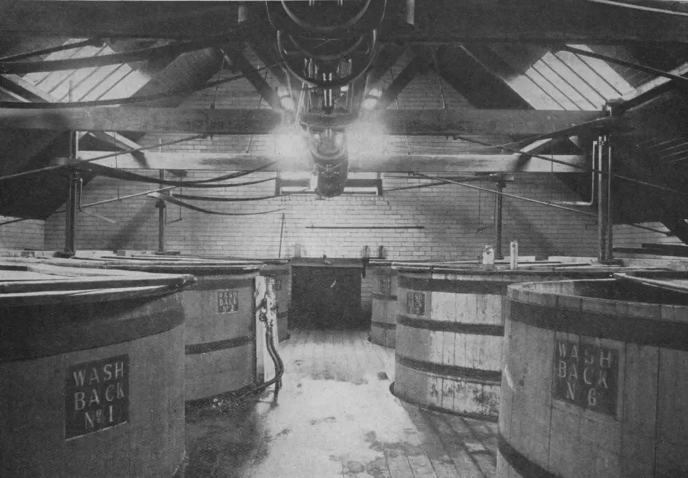 Aberlour: Top View of the Washbacks.