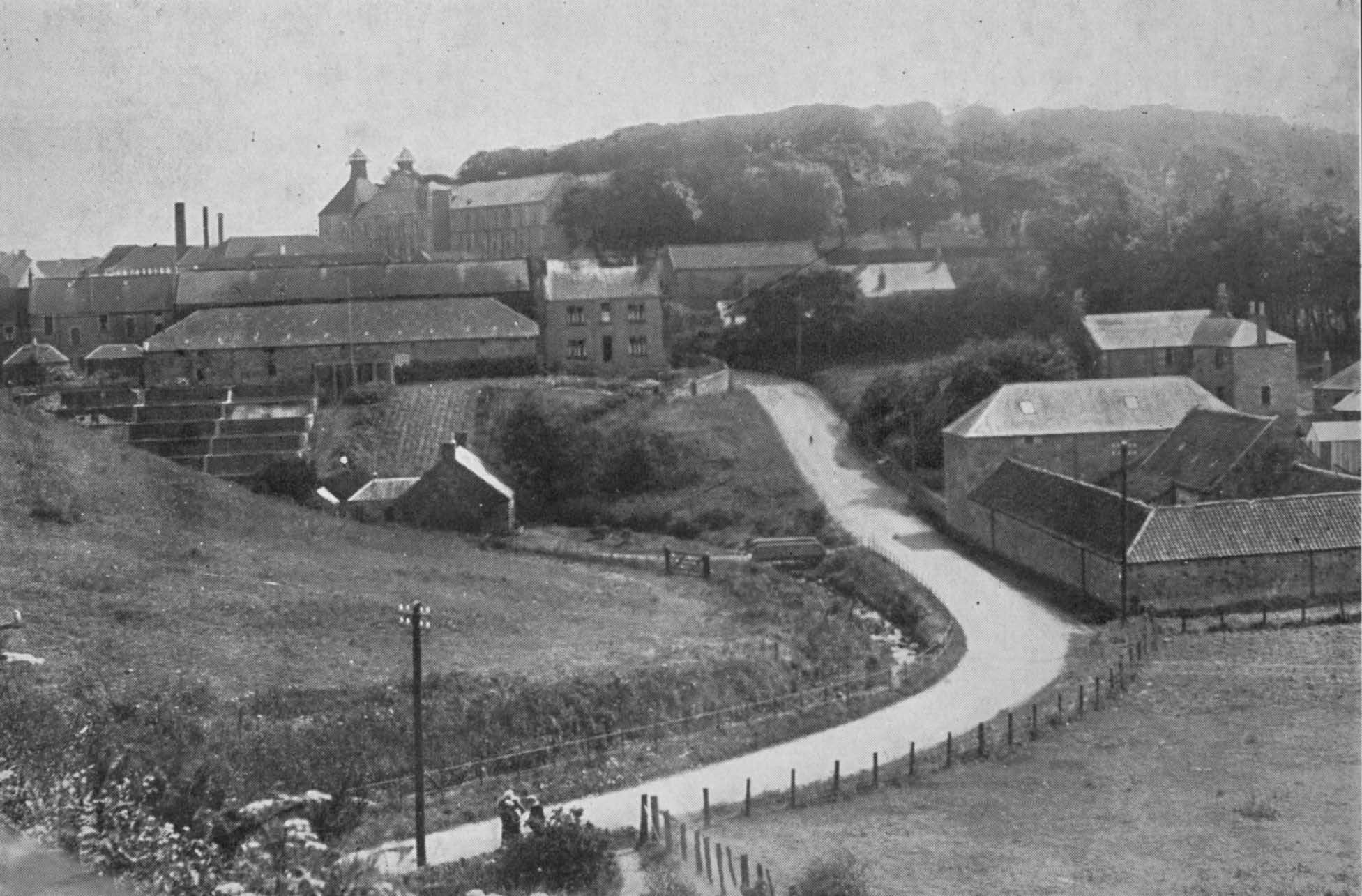 Auchtertool Distillery.
