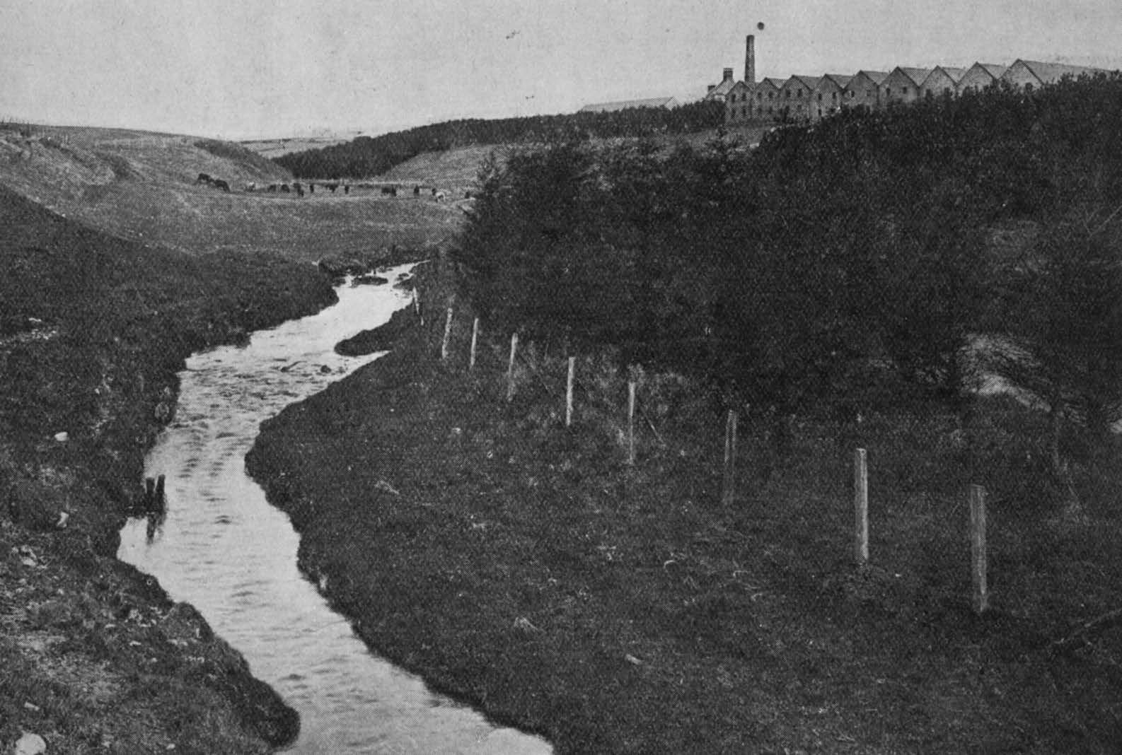 Aultmore: Distillery and burn.