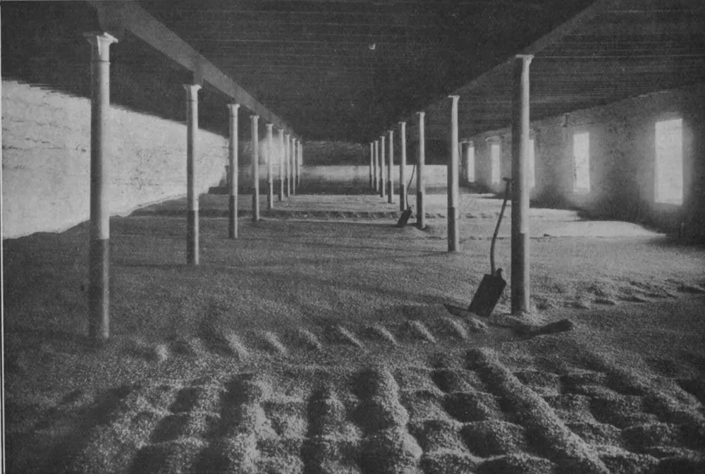Benrinnes : Malting floor.