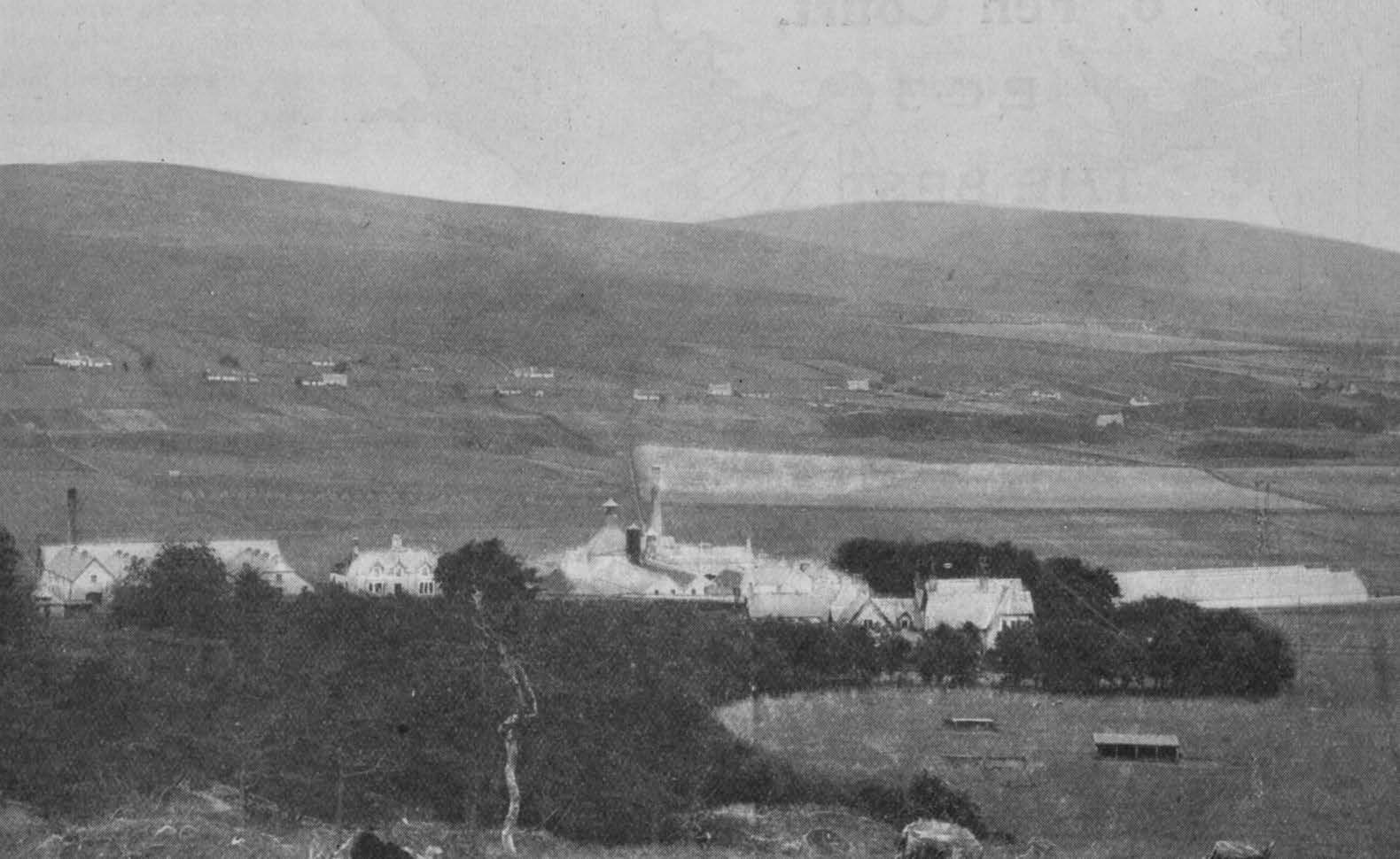 Clynelish Distillery.