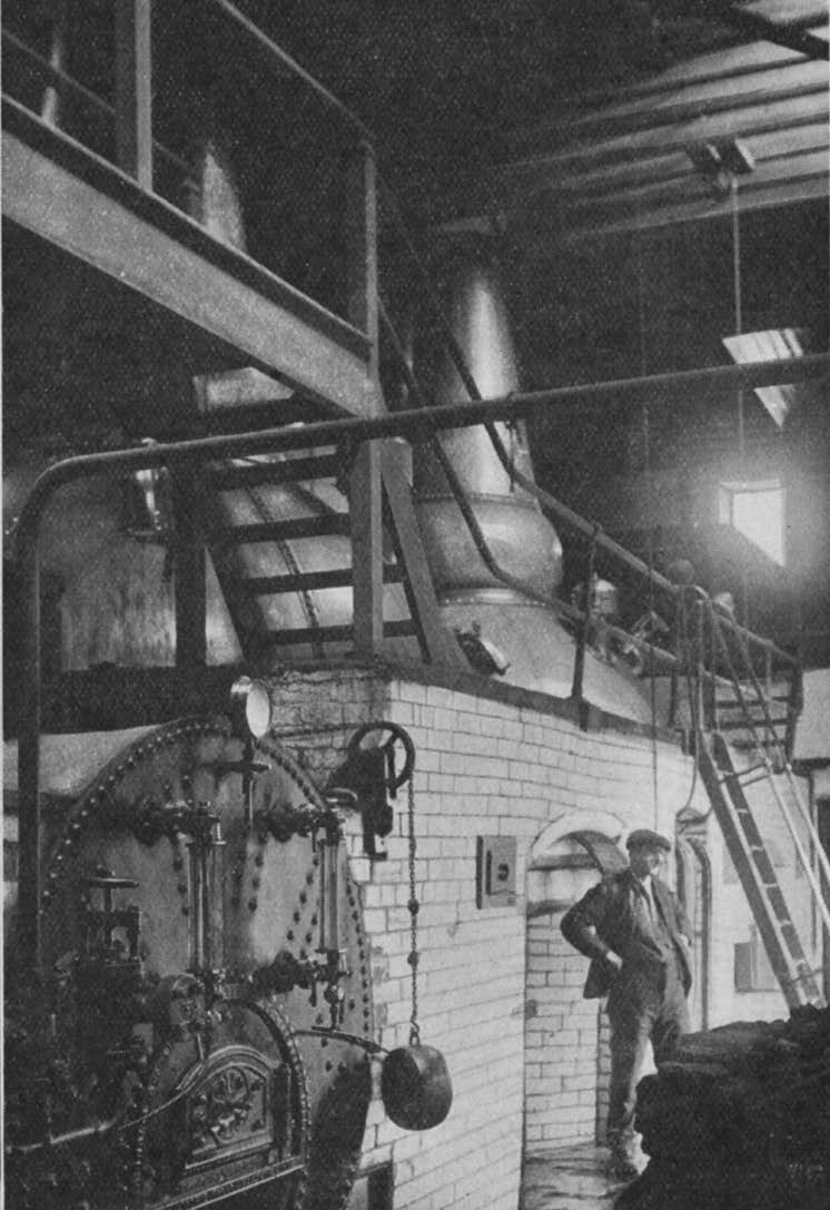 Clynelish : Furnace and Stills.