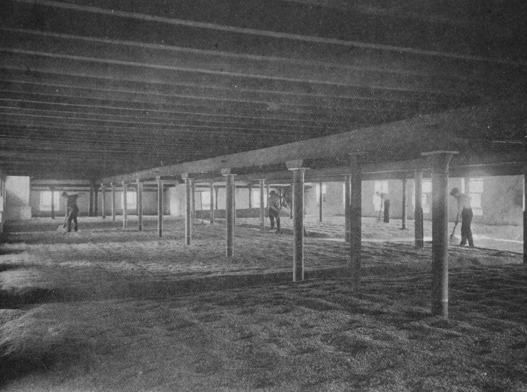 Craigellachie : One of the Malting Floors.