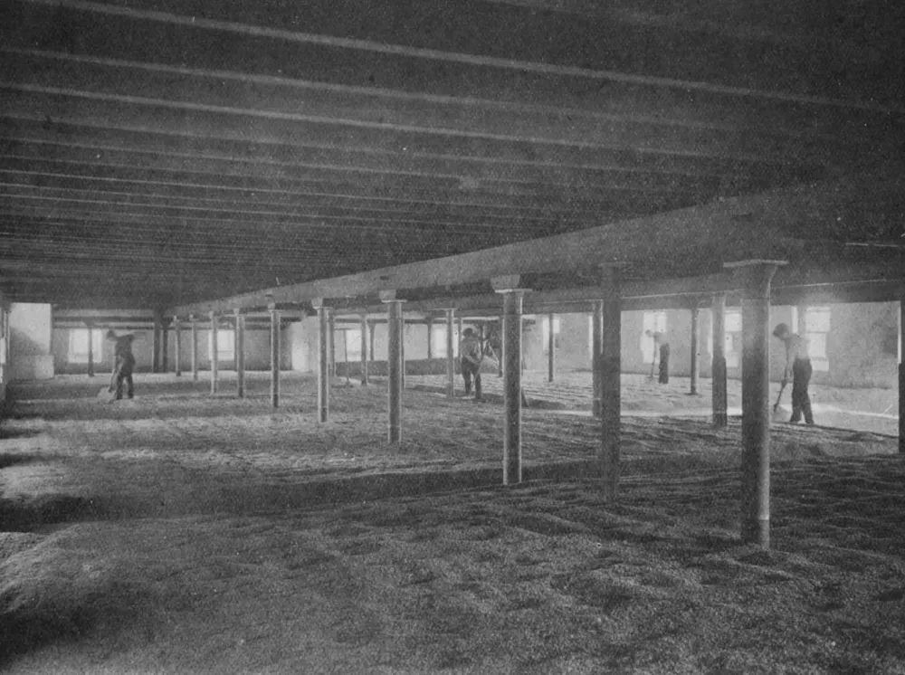 Craigellachie : One of the Malting Floors.