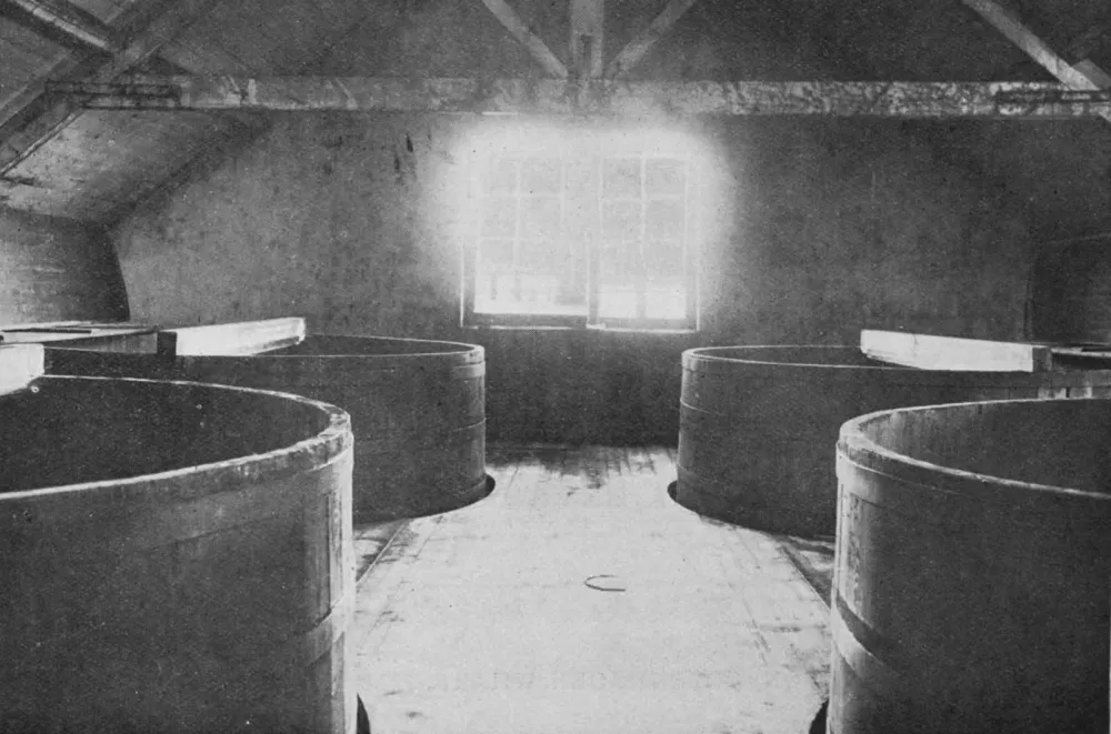 Glen-Elgin : Tun Room.