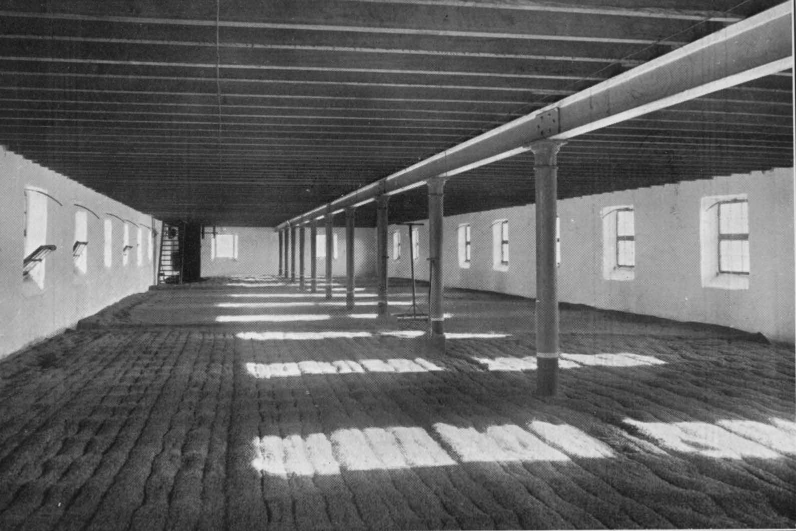 Glen-Elgin : Malting Floor.