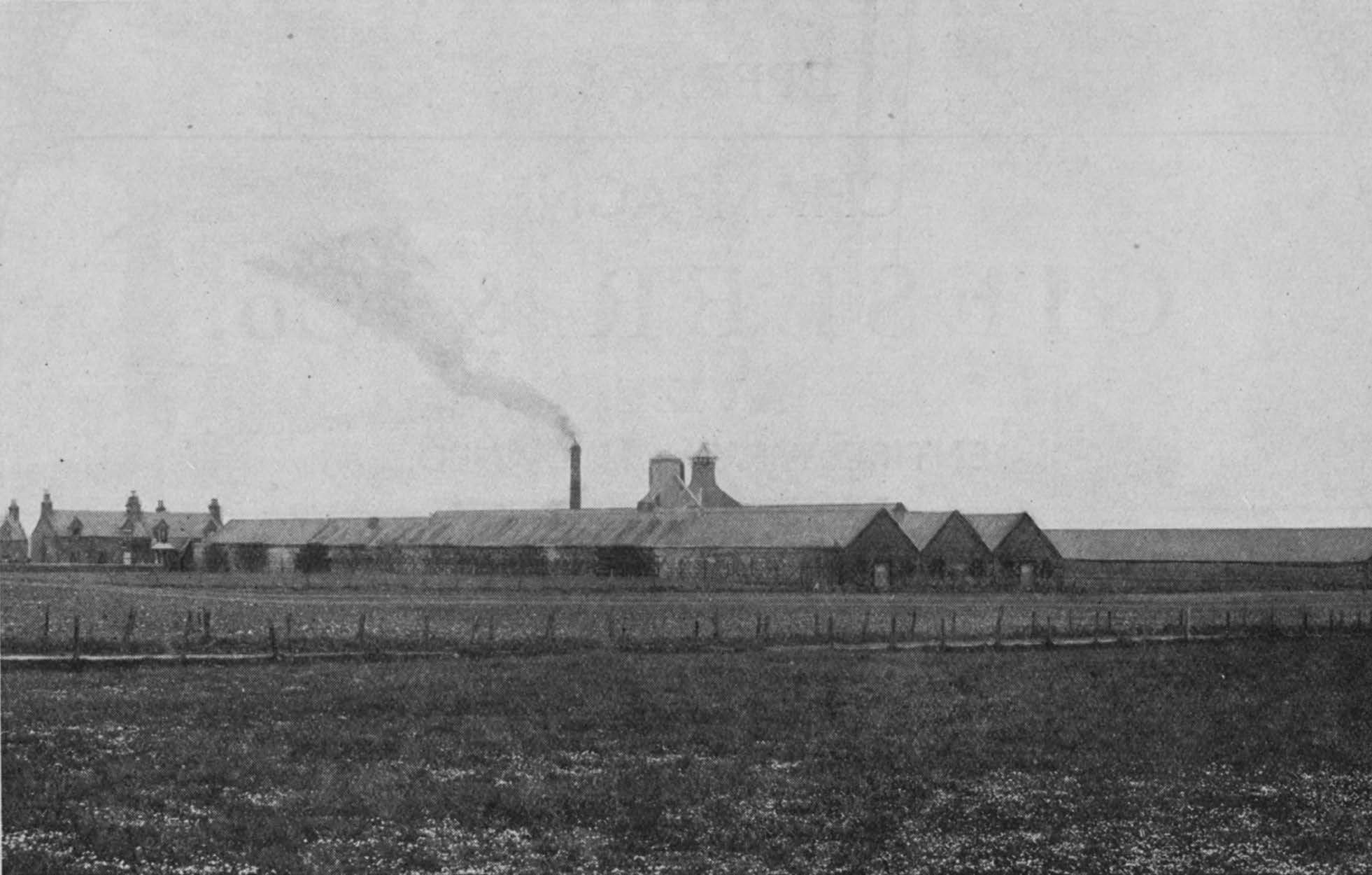 Inchgower : General View.
