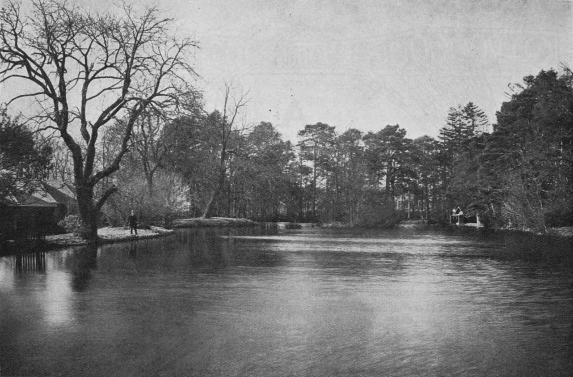 Linkwood-Glenlivet Distillery : Dam, with island and boat house.