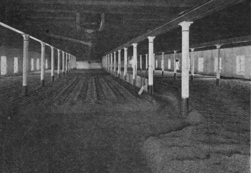 Linkwood-Glenlivet Distillery : One of the Malting Floors.