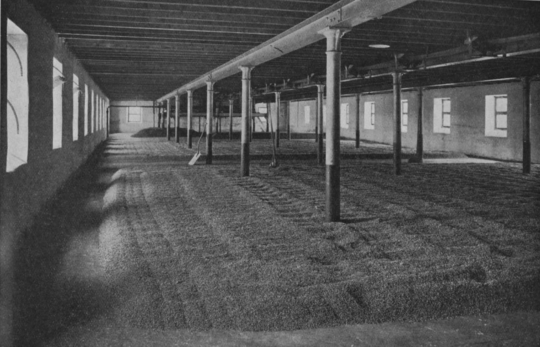 Milton Duff Distillery: Malting Floor.