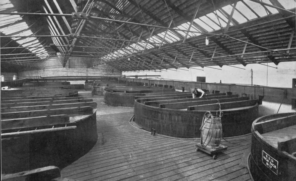 The Tun Room, containing Twenty Washbacks.