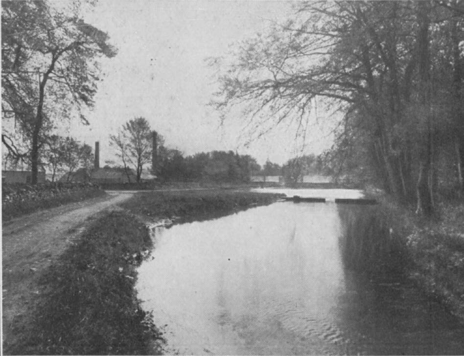 Teaninich : The Dam.