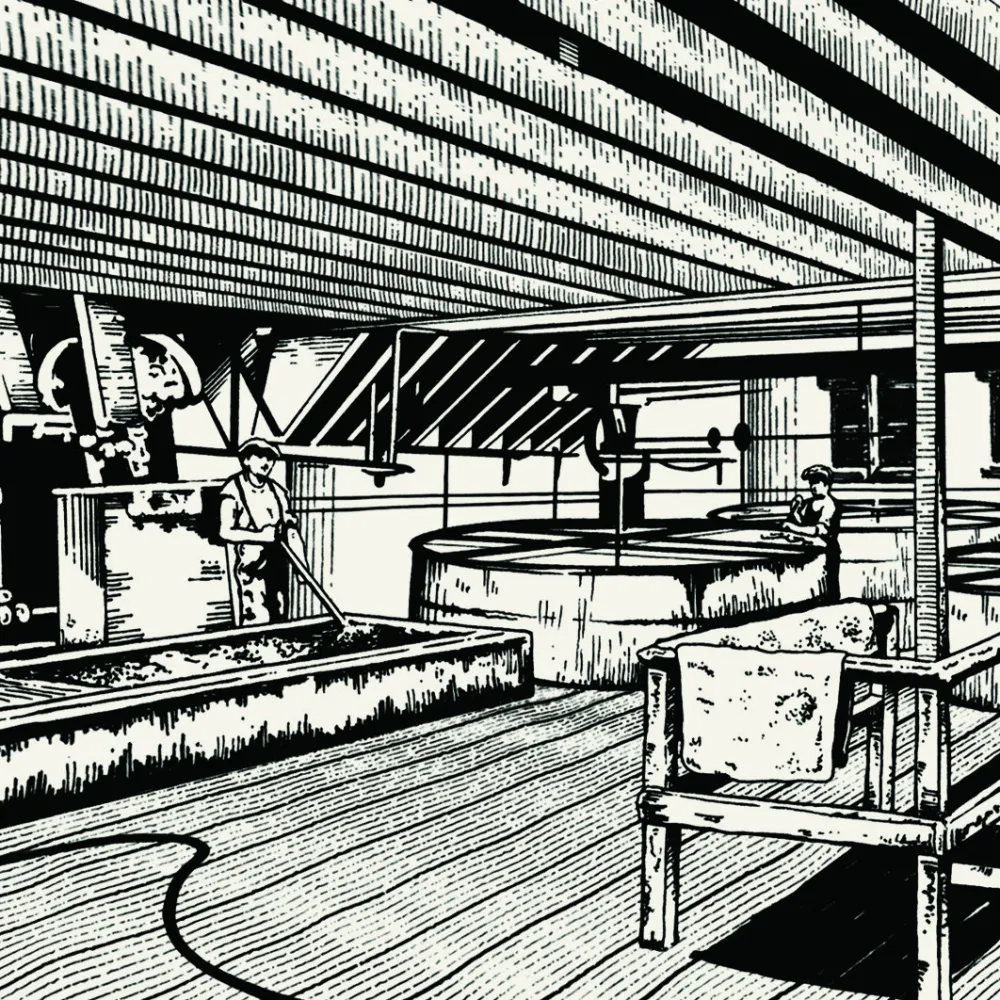 Glen Ord Illustration